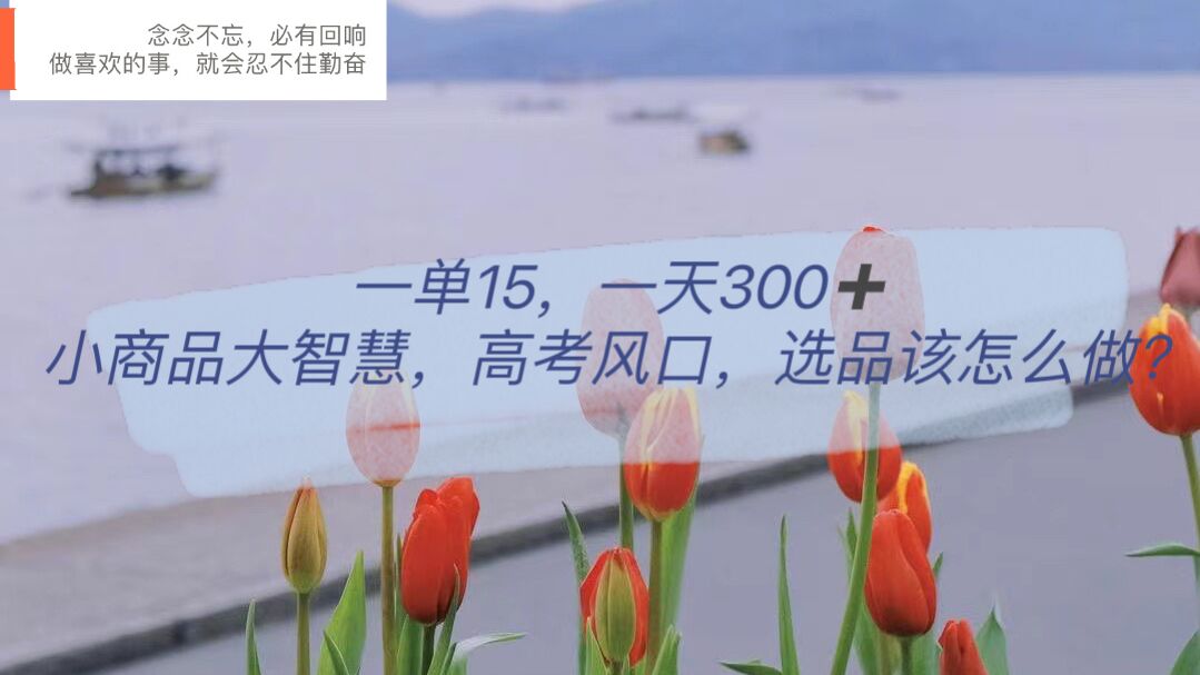 一单15，一天300+，小商品大智慧，高考风口，选品该怎么布局-牵机网