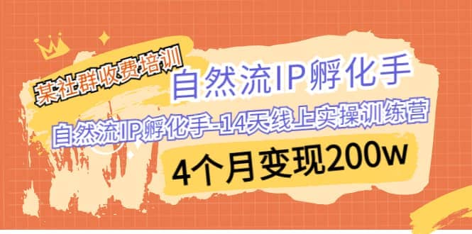 某社群收费培训：自然流IP 孵化手-14天线上实操训练营 4个月变现200w-牵机网