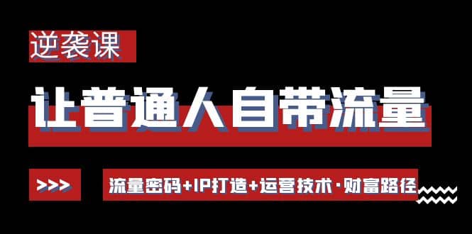 让普通人自带流量的逆袭课：流量密码+IP打造+运营技术·财富路径-牵机网