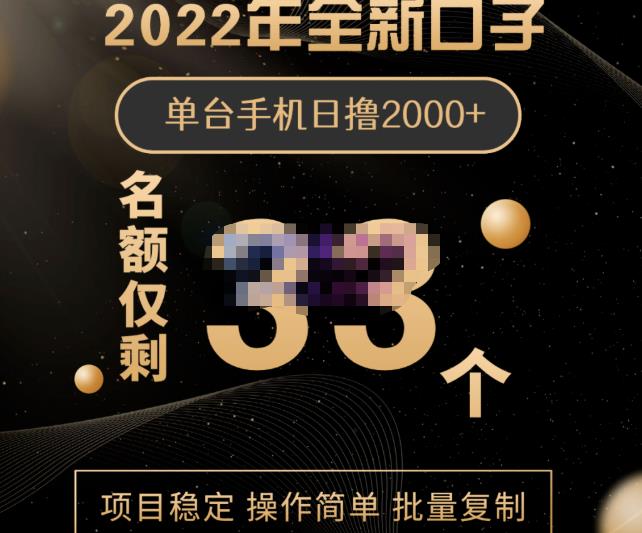 2022年全新口子，手机批量搬砖玩法，一部手机日撸2000+-牵机网