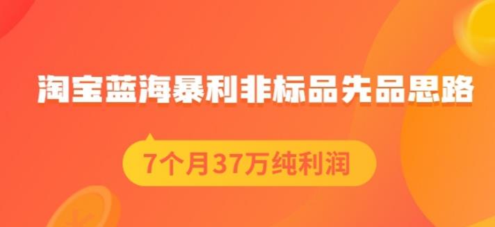 盗坤淘宝蓝海暴利非标品先品思路，7个月37万纯利润，压箱干货分享！【付费文章】-牵机网