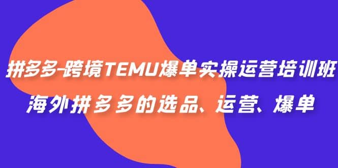 拼多多-跨境TEMU爆单实操运营培训班，海外拼多多的选品、运营、爆单-牵机网