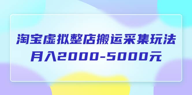 淘宝虚拟整店搬运采集玩法分享课：月入2000-5000元（5节课）-牵机网