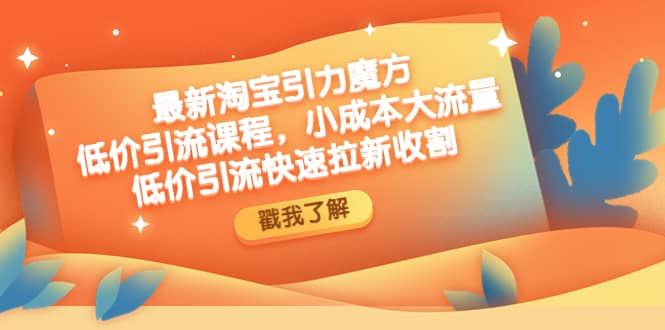 最新淘宝引力魔方低价引流实操：小成本大流量-牵机网