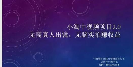 小淘项目组网赚永久会员，绝对是具有实操价值的，适合有项目做需要流程【持续更新】-牵机网