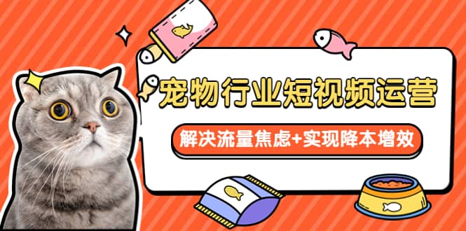 宠物/行业短视频运营 流量增长的一层窗户纸 解决流量焦虑+实现降本增效-牵机网