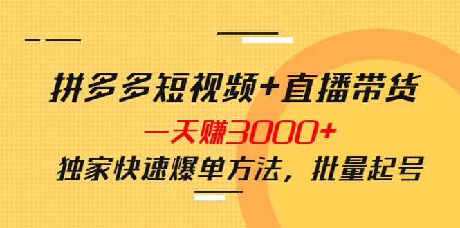 拼多多短视频+直播带货，一天赚3000+独家快速爆单方法，批量起号-牵机网