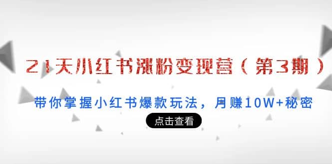 21天小红书涨粉变现营（第3期）：带你掌握小红书爆款玩法，月赚10W+秘密-牵机网
