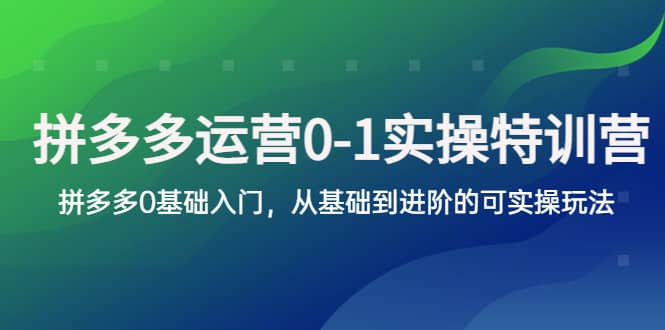 拼多多-运营0-1实操训练营，拼多多0基础入门，从基础到进阶的可实操玩法-牵机网