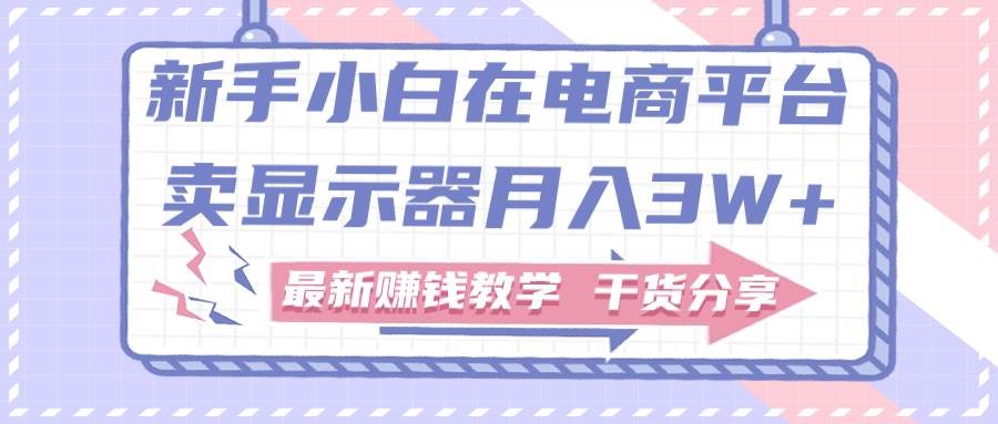新手小白如何做到在电商平台卖显示器月入3W+，最新赚钱教学干货分享-牵机网
