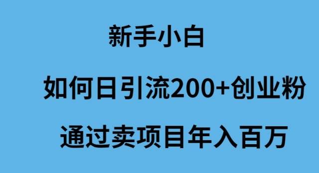 新手小白如何日引流200+创业粉通过卖项目年入百万-牵机网