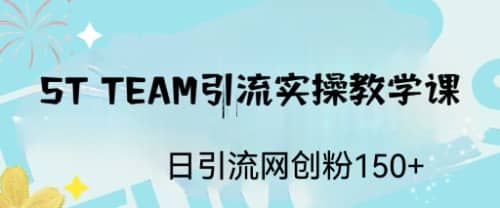 ST TEAM引流实操课，日引流网创粉100+-牵机网