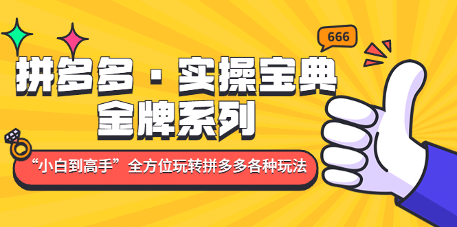 拼多多·实操宝典：金牌系列“小白到高手”带你全方位玩转拼多多各种玩法-牵机网