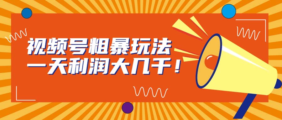 视频号粗暴玩法，一天利润大几千-牵机网