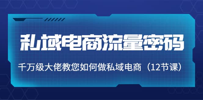 私域电商流量密码：千万级大佬教您如何做私域电商（12节课）-牵机网