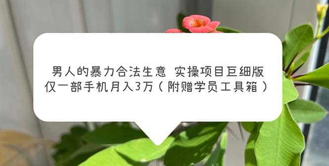 男人的暴力合法生意实操项目巨细版：仅一部手机月入3w（附赠学员工具箱）-牵机网