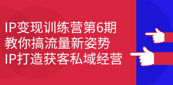 IP变现训练营第6期：教你搞流量新姿势，IP打造获客私域经营-牵机网