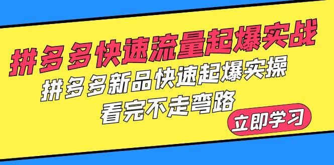 拼多多-快速流量起爆实战，拼多多新品快速起爆实操，看完不走弯路-牵机网