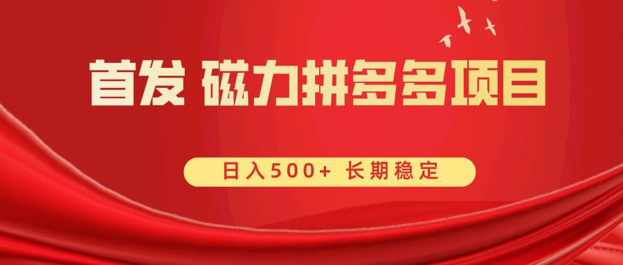 首发 磁力拼多多自撸  日入500+-牵机网