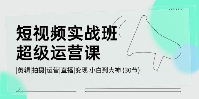 短视频实战班-超级运营课，|剪辑|拍摄|运营|直播|变现 小白到大神 (30节)-牵机网