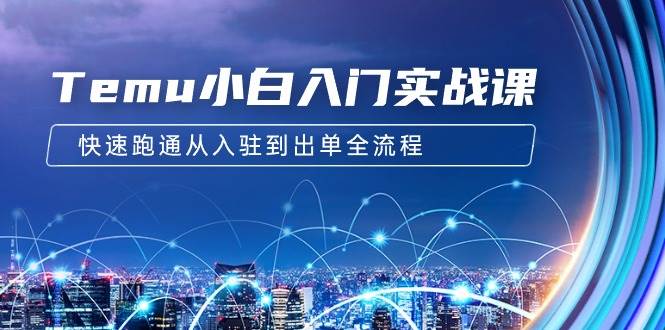 Temu小白入门实战课：跨境拼多多电商培训 快速跑通从入驻到出单全流程-12节-牵机网