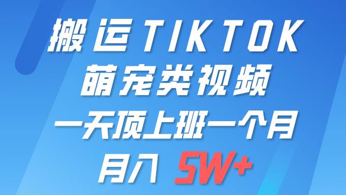 一键搬运TIKTOK萌宠类视频 一部手机即可操作 所有平台均可发布 轻松月入5W+-牵机网