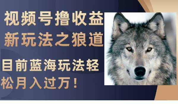 视频号撸收益新玩法之狼道，目前蓝海玩法轻松月入过万！-牵机网