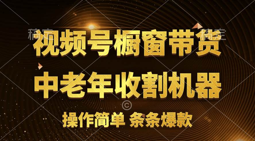 [你的孩子成功取得高位]视频号最火爆赛道，橱窗带货，流量分成计划，条…-牵机网