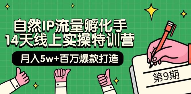 自然IP流量孵化手 14天线上实操特训营【第9期】月入5w+百万爆款打造 (74节)-牵机网