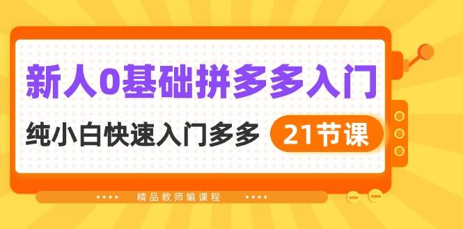 新人0基础拼多多入门，纯小白快速入门多多（21节课）-牵机网