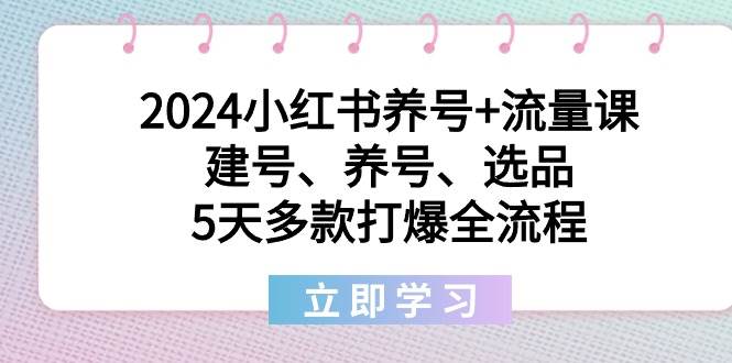 2024小红书养号+流量课：建号、养号、选品，5天多款打爆全流程-牵机网