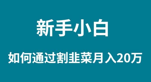 新手小白如何通过割韭菜月入 20W-牵机网