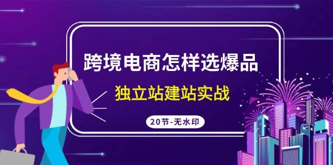 跨境电商怎样选爆品，独立站建站实战（20节高清无水印课）-牵机网