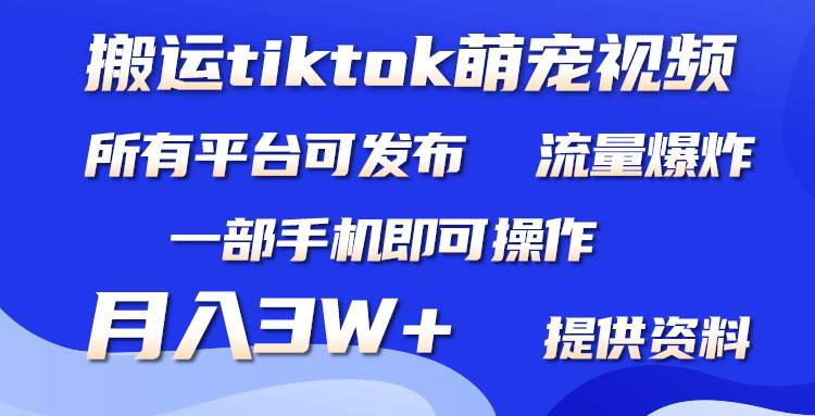 搬运Tiktok萌宠类视频，一部手机即可。所有短视频平台均可操作，月入3W+-牵机网