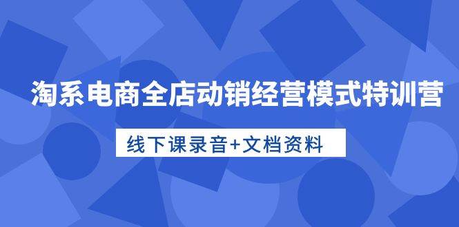 淘系电商全店动销经营模式特训营，线下课录音+文档资料-牵机网