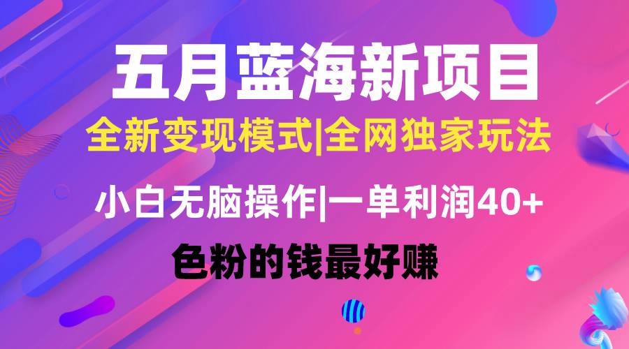 五月蓝海项目全新玩法，小白无脑操作，一天几分钟，矩阵操作，月入4万+-牵机网