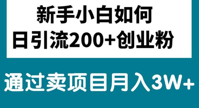 新手小白日引流200+创业粉,通过卖项目月入3W+-牵机网