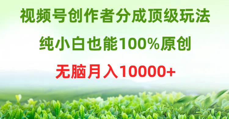视频号创作者分成顶级玩法，纯小白也能100%原创，无脑月入10000+-牵机网