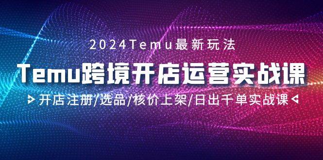 2024Temu跨境开店运营实战课，开店注册/选品/核价上架/日出千单实战课-牵机网