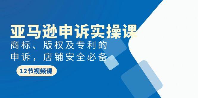 亚马逊-申诉实战课，商标、版权及专利的申诉，店铺安全必备-牵机网