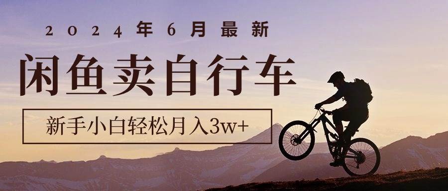 2024年6月最新闲鱼卖自行车，新手小白轻松月入3w+项目-牵机网