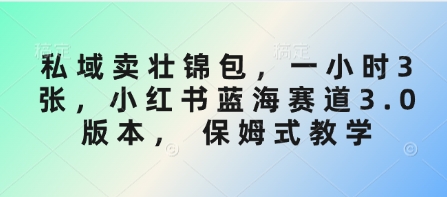 私域卖壮锦包，一小时3张，小红书蓝海赛道3.0版本， 保姆式教学-牵机网