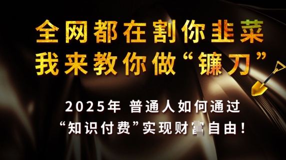 全网都在割你韭菜，我来教你做镰刀，2025普通人如何通过知识付费，实现财F自由【揭秘】-牵机网