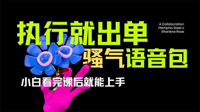 爆火全网的开车导航骚气语音包,只要执行就出单，小白看完课程就能实操…-牵机网