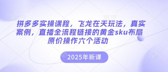 拼多多实操课程，飞龙在天玩法，真实案例，直播全流程链接的黄金sku布局原价操作六个活动-牵机网