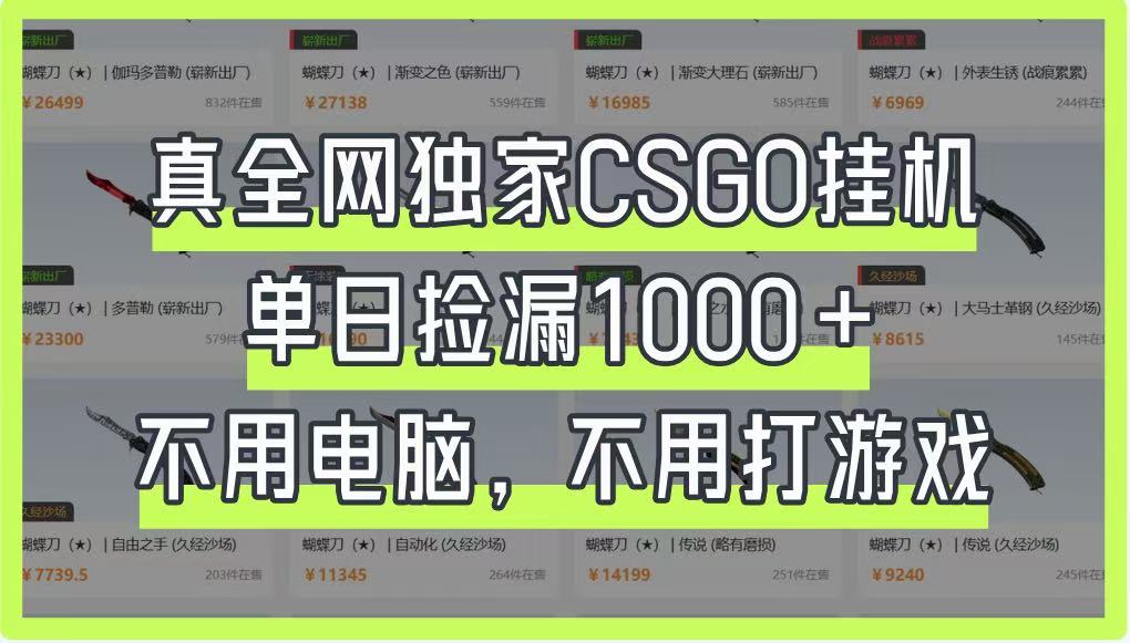 真全网独家CSGO挂机，单日捡漏1000+，不用电脑，不用养号-牵机网