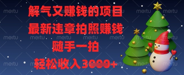 解气又挣钱的项目，最新违章拍照挣钱，随手一拍，轻松收入数张【揭秘】-牵机网