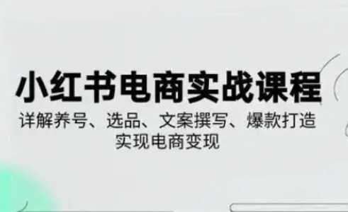 小红书从0-1实操课(2023-2025)，详解养号、选品、文案撰写、爆款打造实现电商变现-牵机网