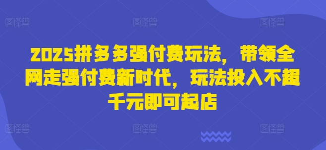 2025拼多多强付费玩法，带领全网走强付费新时代，玩法投入不超千元即可起店-牵机网