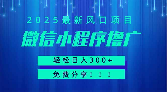 微信小程序撸广，最新风口项目，日入300+ 免费分享 可批量操作 小白可…-牵机网